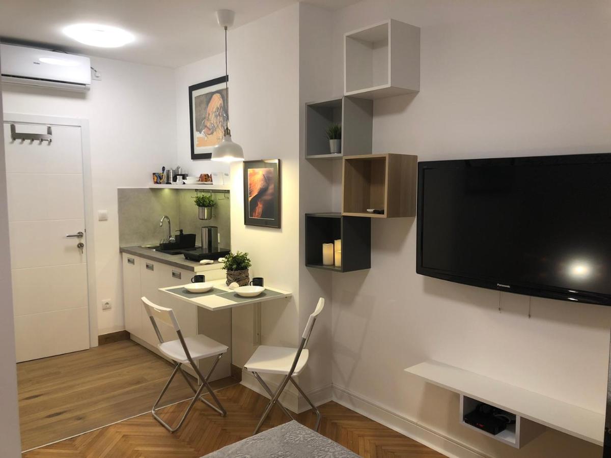 Vracar Apartment Belgrado Buitenkant foto